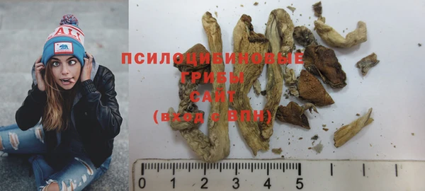 хмурый Абинск